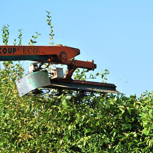 Coupe et taille des haies en région nantaise