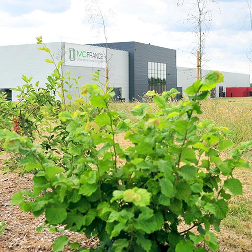 Entretien d'espace vert d'entreprise en Loire-Atlantique, Maine et Loire et Vendée