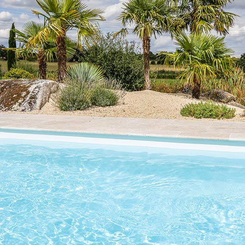 Création d'ambiance méditerranéenne autour d'une piscine dans le sud Loire
