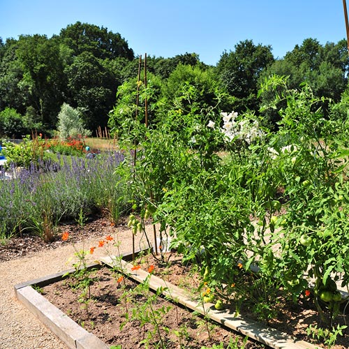 Aménagement de jardin potager avec bac paysager et arbre en sud Loire