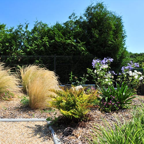 Plantation et aménagement d'arbustes décoratifs à Clisson