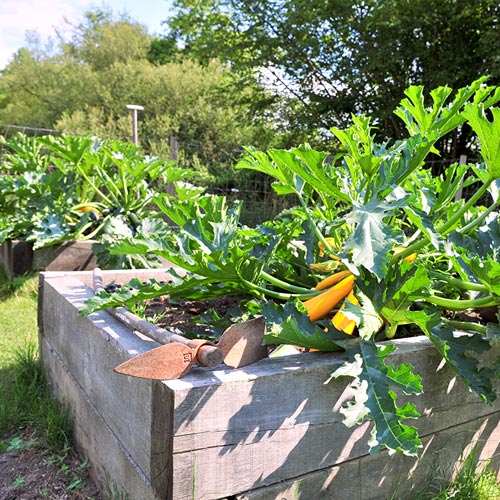 Bac pour jardin potager en Vendée et Loire Atlantique