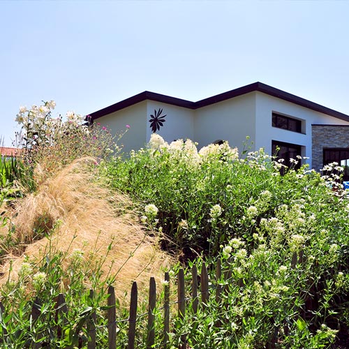 Aménagement d'un talus naturel avec fleurs et arbustes à Gétigné