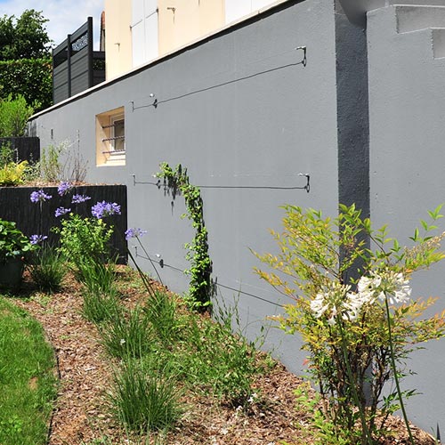 Installation de fils d'acier pour plantes grimpantes en région nantaise