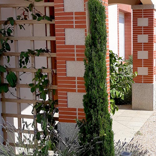 Mur végétalisé sur façade de cave dans le vignoble nantais