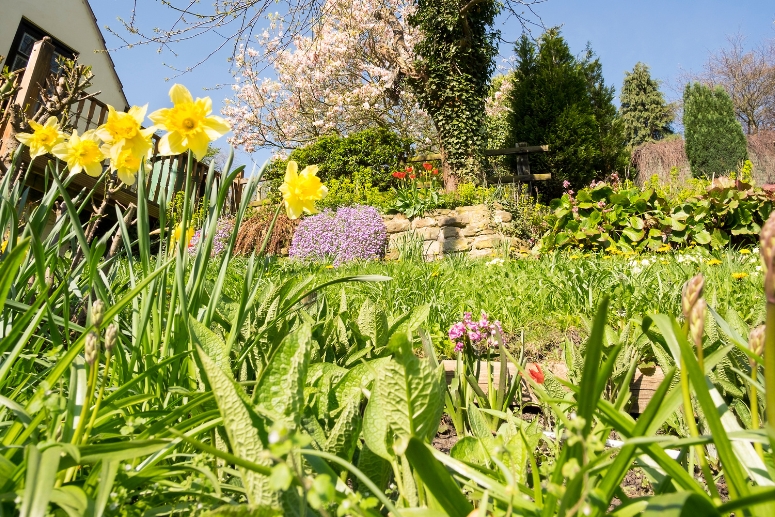 Mon jardin est-il prêt pour le printemps ?