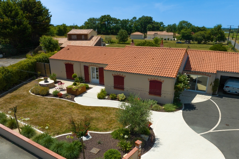 Entretien du jardin en automne : comment régénérer vos extérieurs après l’été ?