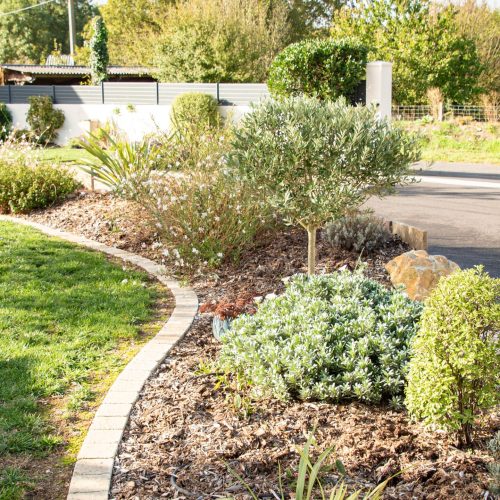 Article_Blog_Jardin_Bretaudeau_Paysagiste_3