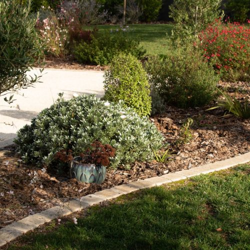 Article_Blog_Jardin_Bretaudeau_Paysagiste_8
