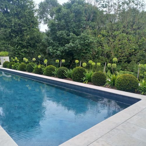 Piscine_végétale_Nantes_Aménagement_Bretaudeau_Paysagiste