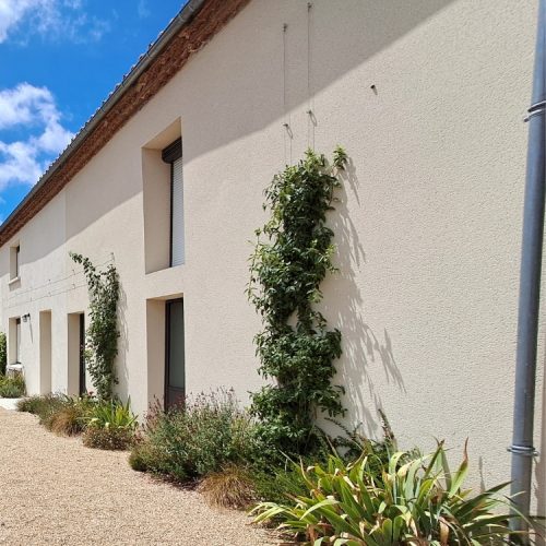 Treillage-et-câble-inox-Bretaudeau-Paysagiste