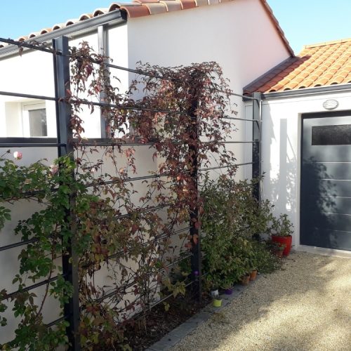 Treillage-et-câble-inox-Bretaudeau-Paysagiste_3