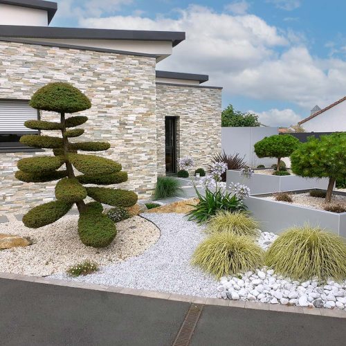 arbustes-jardinieres-maison