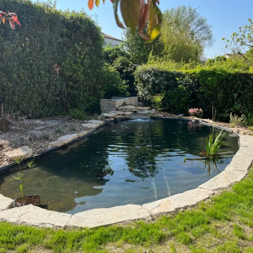 bassin-et-pierre-plates