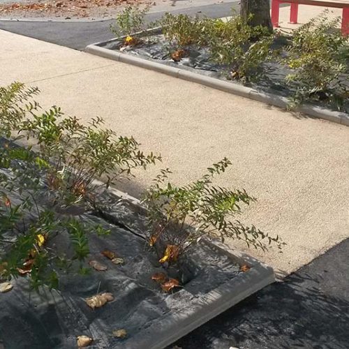 beton-decoratif-torfou