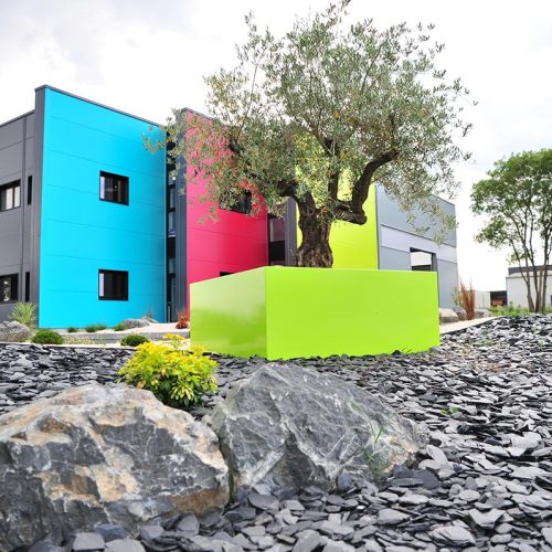 couleur_olivier_cugand