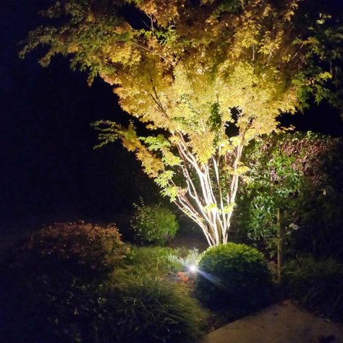 eclairage-ambiance-lumineuse