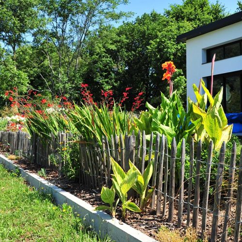 ganivelle_piquets_chataigner