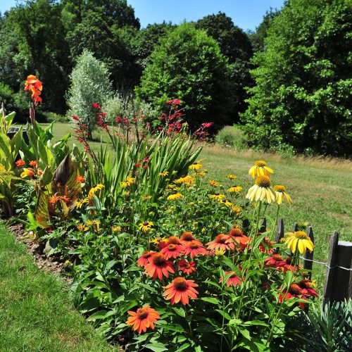 jardin_champetre_fleurs