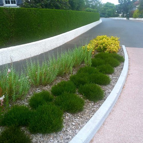 mairie-bruffiere-parterre