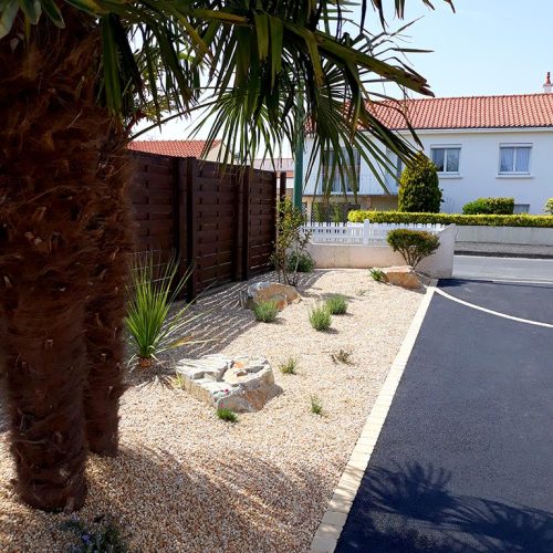 massif_mediterraneen_palmier