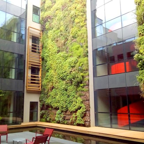 mur_vegetal_patio