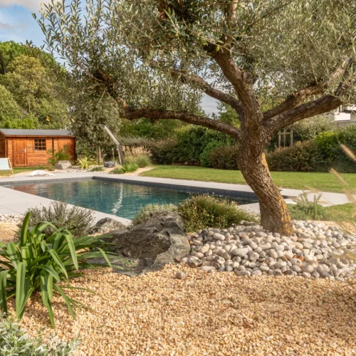 olivier-abords-piscine