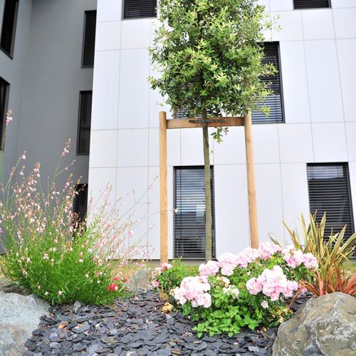 parterre_paysagiste_clisson