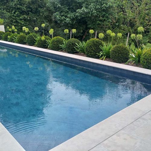 piscine-parterre-massifs