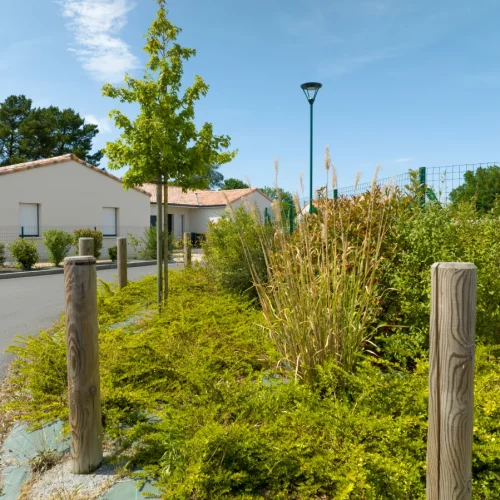 plantation-lotissement