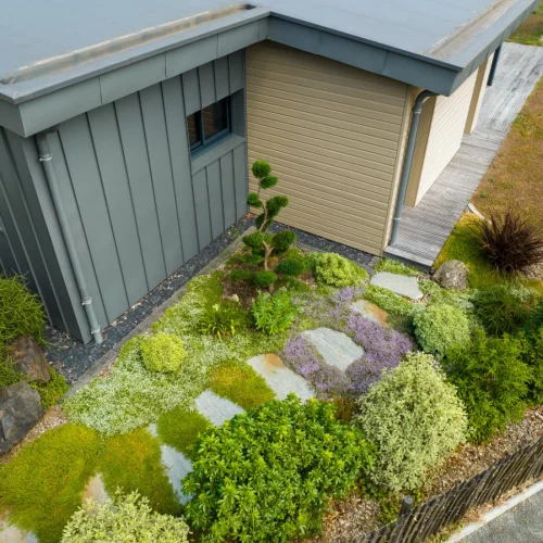 plantes-couvres-sol-mousses