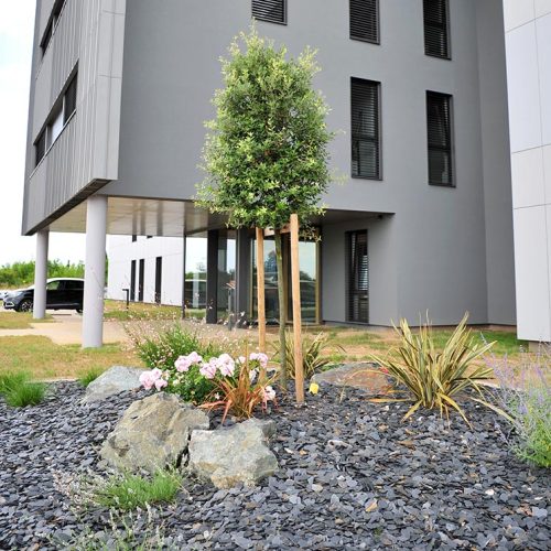 shiste_massif_collectivite