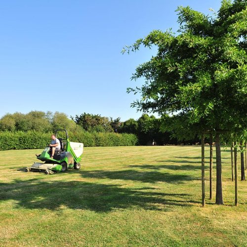 tonte_entretien_entreprise